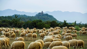 Đồi Cừu - Giếng Đá Bạc - Bình Châu - Hồ Cốc